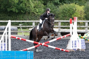 Class 3 -  Fences not above 2'3